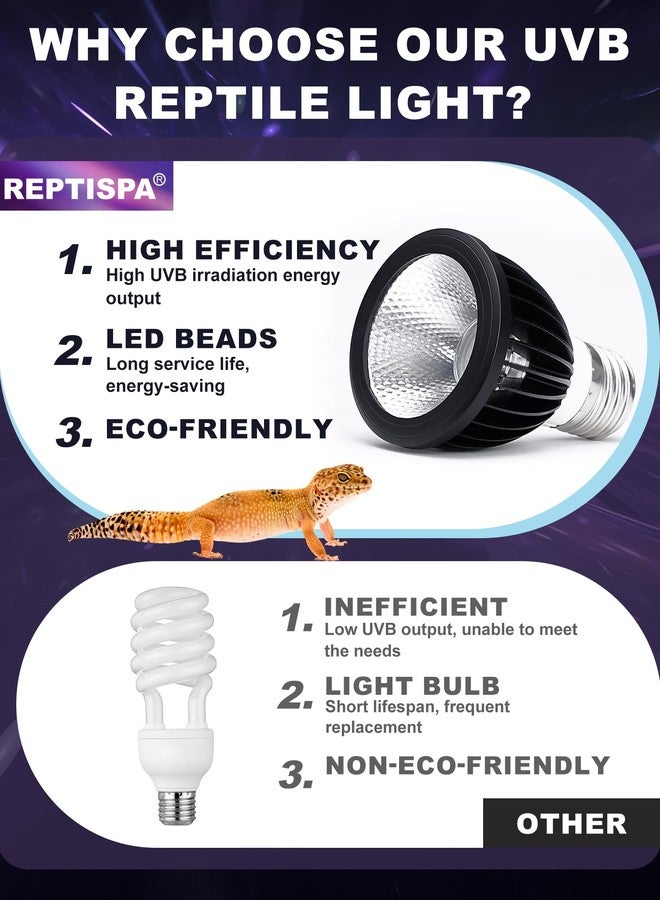Reptispa LED UVB Light for Reptiles, 5W 10.0 LED UVA UVB Lamp, Reptile UVB Bulb for Bearded Dragon Lizard Gecko Snake Turtle, Provide Sufficient UVB Exposure Tropical & Desert Reptiles - Image 3